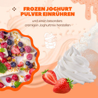 Kokosmilch Nuss Frozen Joghurt Pulver 3