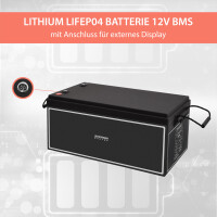 200Ah 12V Lifepo 4 Lithium Batterie | Akku mit BMS 5
