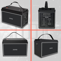 100Ah 12V Lifepo 4 Lithium Batterie | Akku mit BMS 12
