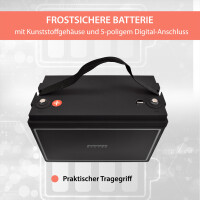 100Ah 12V Lifepo 4 Lithium Batterie | Akku mit BMS 6