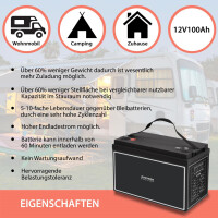 100Ah 12V Lifepo 4 Lithium Batterie | Akku mit BMS 7