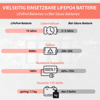 60Ah 12V Lifepo 4 Lithium Batterie | Akku mit BMS, Display 8