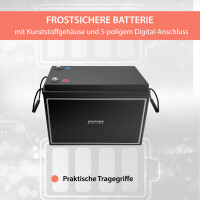 150Ah 12V Lifepo 4 Lithium Batterie | Akku mit BMS 6