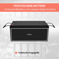300Ah 12V Lifepo 4 Lithium Batterie | Akku mit BMS, Bluetoot