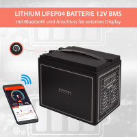 40Ah 12V Lifepo 4 Lithium Batterie | Akku mit BMS, Bluetooth