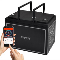 60Ah 12V Lifepo 4 Lithium Batterie | Akk gallery