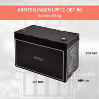 80Ah 12V Lifepo 4 Lithium Batterie | Akku mit BMS, Bluetooth