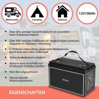100Ah 12V Lifepo 4 Lithium Batterie | Akku mit BMS, Bluetoot