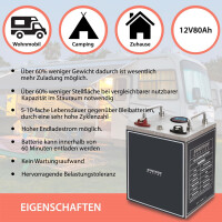 80Ah 12V Lifepo 4 Lithium Batterie | Akku Frostsicher mit BM