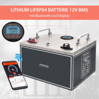 100Ah 12V Lifepo 4 Lithium Batterie | Akku Frostsicher mit B