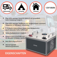 100Ah 12V Lifepo 4 Lithium Batterie | Akku Frostsicher mit B