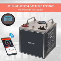 40Ah 12V Lifepo 4 Lithium Batterie | Akku Frostsicher mit BM