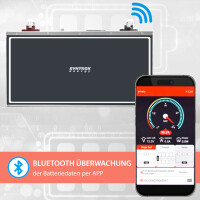 300Ah 12V Lifepo 4 Lithium Batterie | Akku Frostsicher mit B