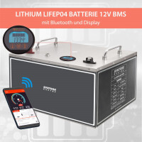 300Ah 12V Lifepo 4 Lithium Batterie | Akku Frostsicher mit B
