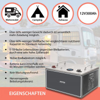 300Ah 12V Lifepo 4 Lithium Batterie | Akku Frostsicher mit B