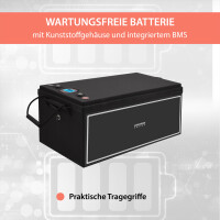 200Ah 24V Lifepo 4 Lithium Batterie | Akku mit BMS, Bluetoot