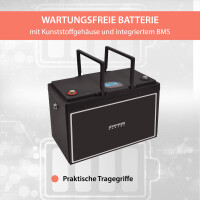 50Ah 24V Lifepo 4 Lithium Batterie | Akku mit BMS, Bluetooth