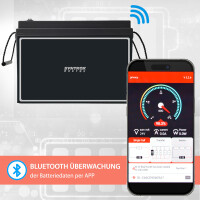 100Ah 24V Lifepo 4 Lithium Batterie | Akku mit BMS, Bluetoot